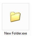 new folder virus