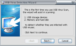 remove worm virus in flash drive